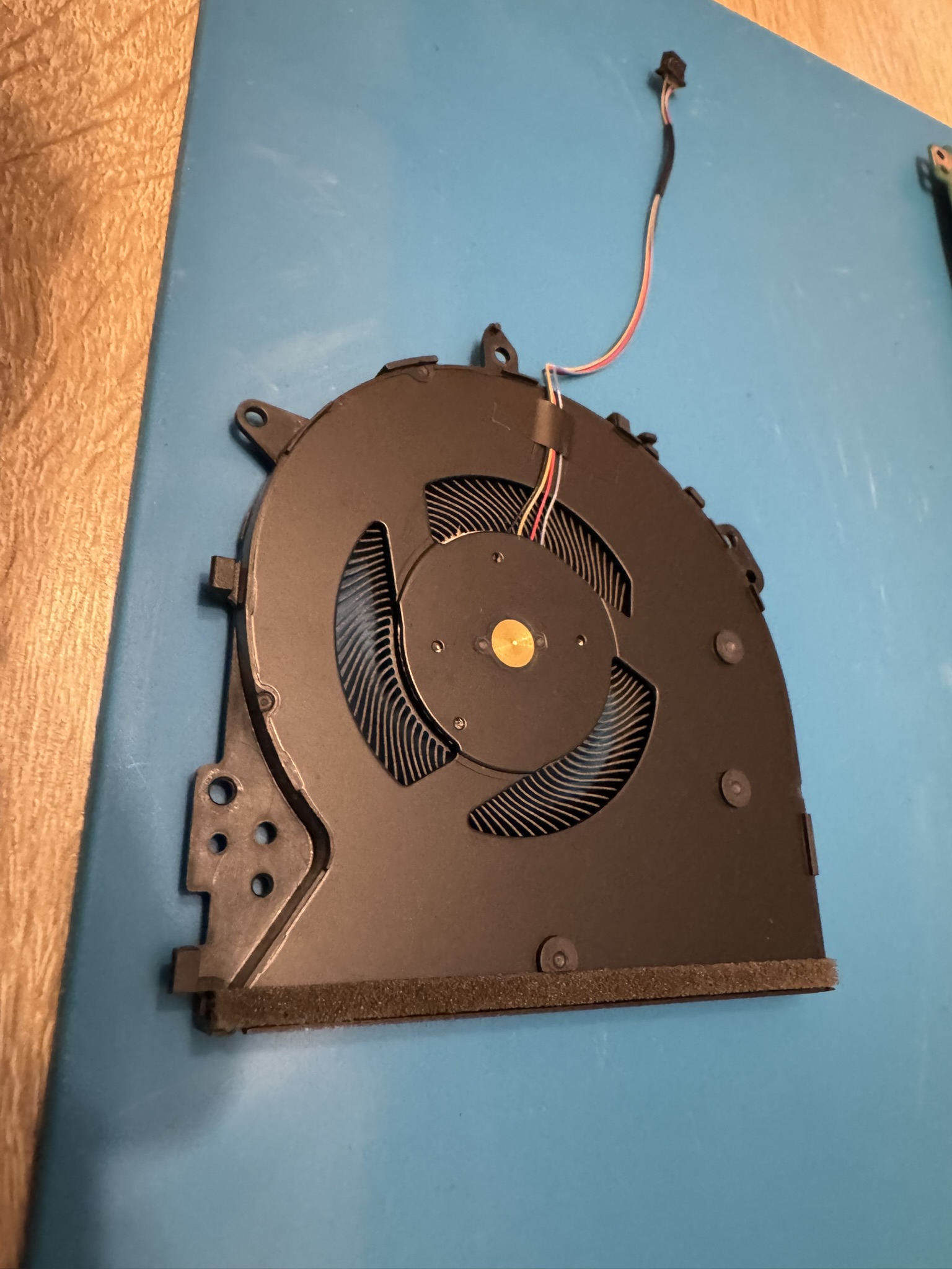 Projekt 10